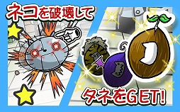 ねこばたけ