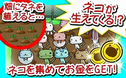 ねこばたけ