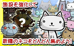 ねこばたけ