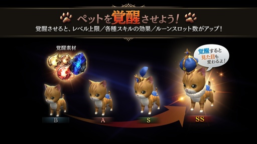 画像ギャラリー No.012のサムネイル画像 / 「ロストキングダム」,大型アップデートの情報第3弾「ペット」を公開。紹介PVも