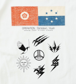 画像ギャラリー No.005のサムネイル画像 / 「エースコンバット7」とミリタリーブランド“ALPHA INDUSTRIES”のコラボTシャツが販売中