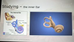 画像ギャラリー No.005のサムネイル画像 / ［GDC 2017］「Eagle Flight」が超高速でVR空間を飛ぶために気をつけていること