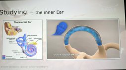 画像ギャラリー No.006のサムネイル画像 / ［GDC 2017］「Eagle Flight」が超高速でVR空間を飛ぶために気をつけていること