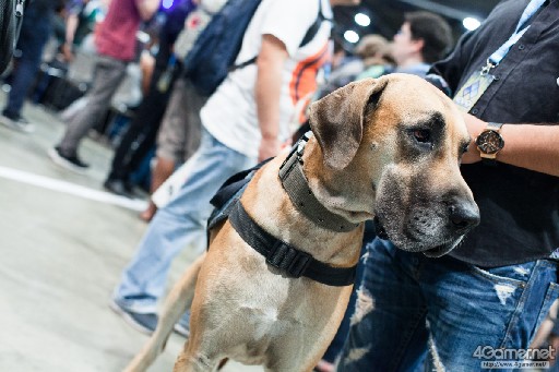 画像ギャラリー No.038のサムネイル画像 / ［EVO2016］ポッ拳で日本人の殿様選手が優勝。鉄拳7FR部門は韓国のSaint選手，スマブラWii U部門はカナダのAlly選手が優勝。熱戦続くEVO2日目まとめ