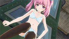 画像ギャラリー No.017のサムネイル画像 / 「バレットガールズ2」の発売に合わせてDLC第1弾が登場。シゴキがはかどる尋問アイテムや,各種キャラの早期開放権というラインナップ