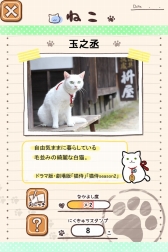 画像ギャラリー No.002のサムネイル画像 / TVドラマ“猫侍”の公式アプリ「玉之丞といっしょ」の配信が決定。2016年1月中旬リリース