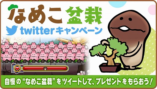 画像ギャラリー No.001のサムネイル画像 / 「なめこ栽培キット HD」＆「なめこ栽培キットSeasons HD」でTwitterキャンペーン