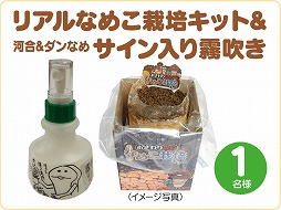 画像ギャラリー No.002のサムネイル画像 / 「なめこ栽培キット HD」＆「なめこ栽培キットSeasons HD」でTwitterキャンペーン