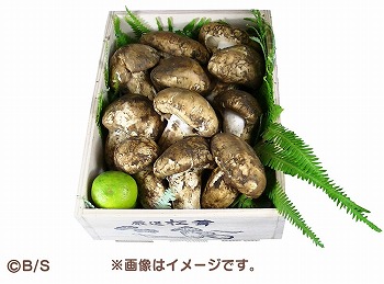 画像ギャラリー No.002のサムネイル画像 / 「なめこ栽培キット」シリーズがイベント“なめことわたし”を開催中