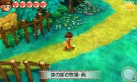 画像ギャラリー No.010のサムネイル画像 / 「牧場物語 3つの里の大切な友だち」のプレイヤーガイド第1弾が公開。牧場生活の基本となる「作物づくり」を紹介