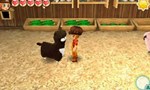 画像ギャラリー No.010のサムネイル画像 / 「牧場物語 3つの里の大切な友だち」，第2弾プレイヤーズガイド「動物のお世話」を紹介。たくさんの動物たちとふれあう癒しの生活を目指す