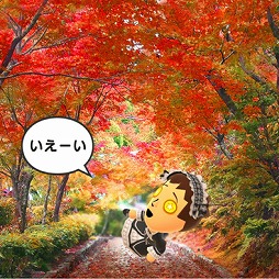 画像ギャラリー No.026のサムネイル画像 / 任天堂のスマホアプリ第1弾「Miitomo」をさっそく体験。どんな人でもコミュニケーションを楽しめる,斬新なSNSになりそうな予感