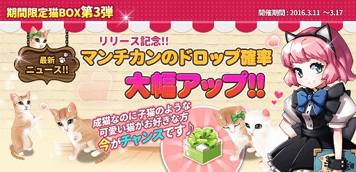 画像ギャラリー No.003のサムネイル画像 / 「マイにゃんカフェ」,10万DL突破記念でアイテムがもらえるクーポンを配布