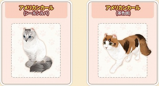 画像ギャラリー No.006のサムネイル画像 / 「マイにゃんカフェ」，猫の10連ガチャシステムの追加を含むアップデートを本日実施