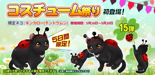 画像ギャラリー No.001のサムネイル画像 / 「マイにゃんカフェ」で限定ネコ「キンカロー（テントウムシ）」が登場するガチャイベント開催