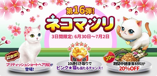 画像ギャラリー No.001のサムネイル画像 / 「マイにゃんカフェ」，ガチャイベント「ネコマツリ」第16弾が3日間限定で開催