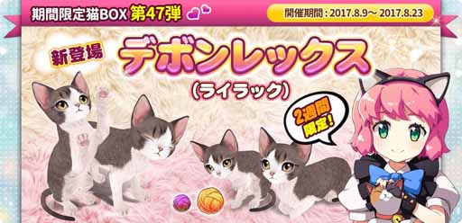 画像ギャラリー No.002のサムネイル画像 / 「マイにゃんカフェ」,期間限定ガチャにデボンレックス(ライラック)が初登場