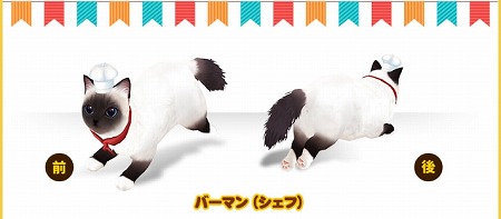 画像ギャラリー No.002のサムネイル画像 / 「マイにゃんカフェ」,ガチャイベント“コスチューム祭り”を開催