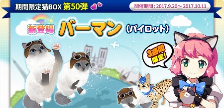 画像ギャラリー No.004のサムネイル画像 / 「マイにゃんカフェ」，ガチャイベント“ネコマツリ”第19弾を開催