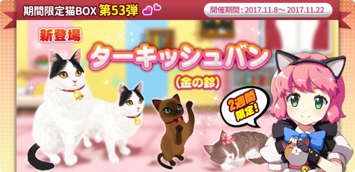 画像ギャラリー No.005のサムネイル画像 / 「マイにゃんカフェ」,「期間限定ガチャ53弾」や「猫の恩返しイベント」が開催
