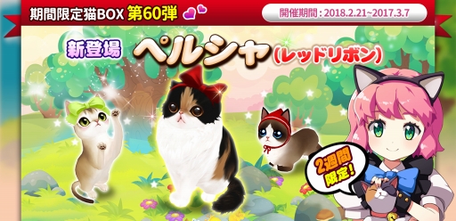 画像ギャラリー No.003のサムネイル画像 / 「マイにゃんカフェ」,期間限定ガチャイベント「猫BOX」第60弾にペルシャが登場