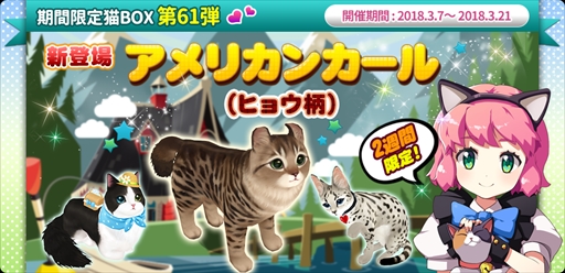 画像ギャラリー No.003のサムネイル画像 / 「マイにゃんカフェ」,リニューアルした“にゃんこパック”や“ホワイトデーイベント”が実装