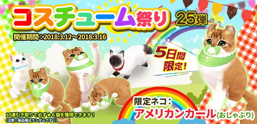画像ギャラリー No.001のサムネイル画像 / 「マイにゃんカフェ」に“アメリカンカール(おしゃぶり)”が新登場
