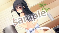 画像ギャラリー No.002のサムネイル画像 / 「三極姫4 天華繚乱 天命の恋絵巻」,店舗別購入特典の情報が公開に