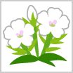 画像ギャラリー No.003のサムネイル画像 / 「ちょこっとファーム」，結婚式をテーマにしたイベントが開催中