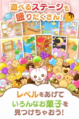 ネコたんのお菓子くずし