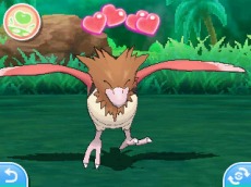 画像ギャラリー No.020のサムネイル画像 / 「ポケットモンスター サン・ムーン」ポケモンをお手入れする「ポケリフレ」が登場。主人公のファッションを変更できる新機能も