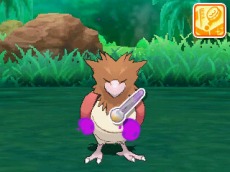 画像ギャラリー No.021のサムネイル画像 / 「ポケットモンスター サン・ムーン」ポケモンをお手入れする「ポケリフレ」が登場。主人公のファッションを変更できる新機能も