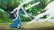 画像ギャラリー No.016のサムネイル画像 / 「ポケットモンスター サン・ムーン」，「サトシゲッコウガ」と一緒に冒険できる体験版が10月18日より配信。オリジナルデザインの2DS本体も登場