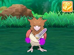 画像ギャラリー No.053のサムネイル画像 / 本日発売「ポケットモンスター サン・ムーン」の新要素をまとめて紹介。新たな舞台「アローラ地方」で，どのようなポケモンと出会えるのか