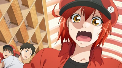 画像ギャラリー No.004のサムネイル画像 / 「そうだ アニメ，見よう」第61回は今期注目の「はたらく細胞」。人間の体内で繰り広げられるお仕事アニメ