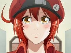 「そうだ アニメ，見よう」第61回は今期注目の「はたらく細胞」。人間の体内で繰り広げられるお仕事アニメ
