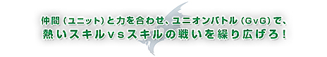 画像ギャラリー No.010のサムネイル画像 / ファンタジーRPG「少女とドラゴン」が今度はPS Vitaで登場。基本プレイ無料で2016年内に配信へ