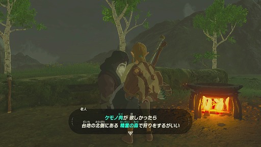 画像ギャラリー No.007のサムネイル画像 / Nintendo Switch「ゼルダの伝説 ブレス オブ ザ ワイルド」プレイレポート。記憶を失ったリンクの旅が,プレイヤーの冒険心をかき立てる