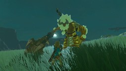 画像ギャラリー No.009のサムネイル画像 / ［E3 2017］「ゼルダの伝説　ブレス オブ ザ ワイルド」の第1弾DLC「試練の覇者」は6月30日に配信。第2弾「英傑たちの詩」も冬配信予定