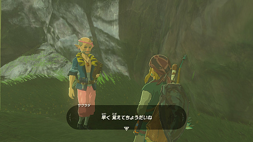画像ギャラリー No.015のサムネイル画像 / 「ゼルダの伝説 ブレス オブ ザ ワイルド」“知の試練”は本日22:00スタート! 4Gamer作成の練習問題でウォーミングアップ