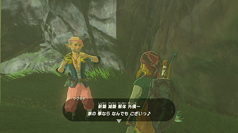 画像ギャラリー No.016のサムネイル画像 / 「ゼルダの伝説 ブレス オブ ザ ワイルド」“知の試練”は本日22:00スタート! 4Gamer作成の練習問題でウォーミングアップ