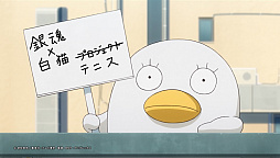 画像ギャラリー No.004のサムネイル画像 / 「白猫テニス」とTVアニメ「銀魂」のコラボが決定。ティザーサイトと“エリザベス”が登場するPVが公開に