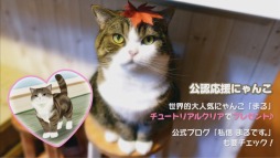 画像ギャラリー No.005のサムネイル画像 / 「てのひらニャンコ」，ゲームの内容がひと目で分かるというPVを公開
