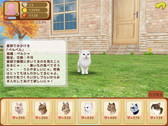 画像ギャラリー No.011のサムネイル画像 / iOS版「てのひらニャンコ」が配信開始。Android版は7月上旬のリリースを予定