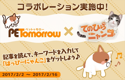 画像ギャラリー No.001のサムネイル画像 / 「てのひらニャンコ」，猫や犬の情報発信サイト「ペットゥモロー」とのコラボレーションを開始