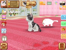 画像ギャラリー No.003のサムネイル画像 / 「てのひらニャンコ」，猫や犬の情報発信サイト「ペットゥモロー」とのコラボレーションを開始