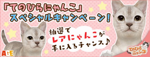 画像ギャラリー No.002のサムネイル画像 / 「てのひらニャンコ」ダイヤを購入でレアにゃんこが当たる「スペシャルキャンペーン」を実施
