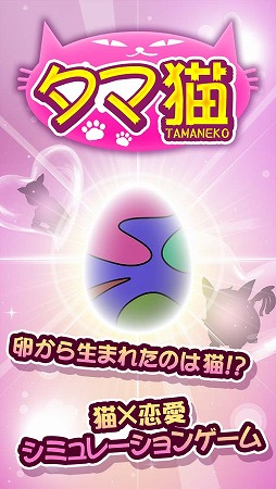 画像ギャラリー No.002のサムネイル画像 / 猫に恋するスマホ向け恋愛SLG「タマ猫」が6月上旬に配信。事前登録受付をスタート