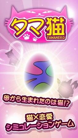 画像ギャラリー No.001のサムネイル画像 / 卵から生まれた猫に恋する恋愛SLG「タマ猫」スマホ向けに配信スタート