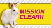 画像ギャラリー No.010のサムネイル画像 / 「ツキノパラダイス。」，“ツキパラ。情報局 特別編”全4話が公開